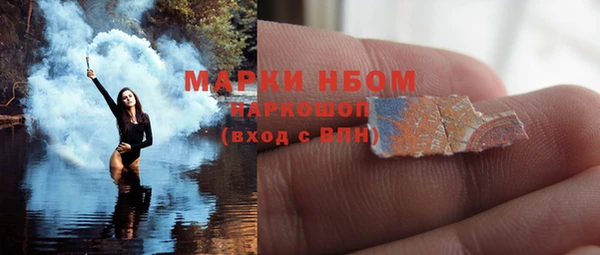 сатива Волоколамск