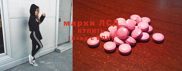 сатива Волоколамск