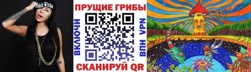 Псилоцибиновые грибы Psilocybe  Севастополь 