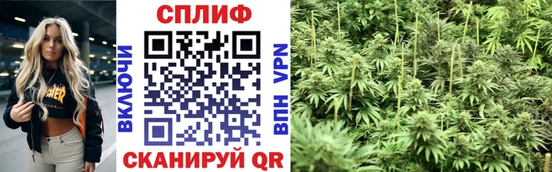 kraken зеркало  Севастополь  МАРИХУАНА Ganja 